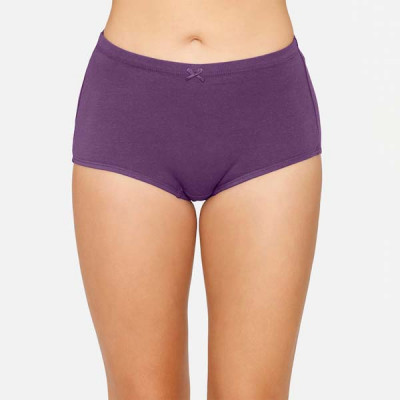 Women Brown & Purple Pack Of 3 Solid Basic Briefs
